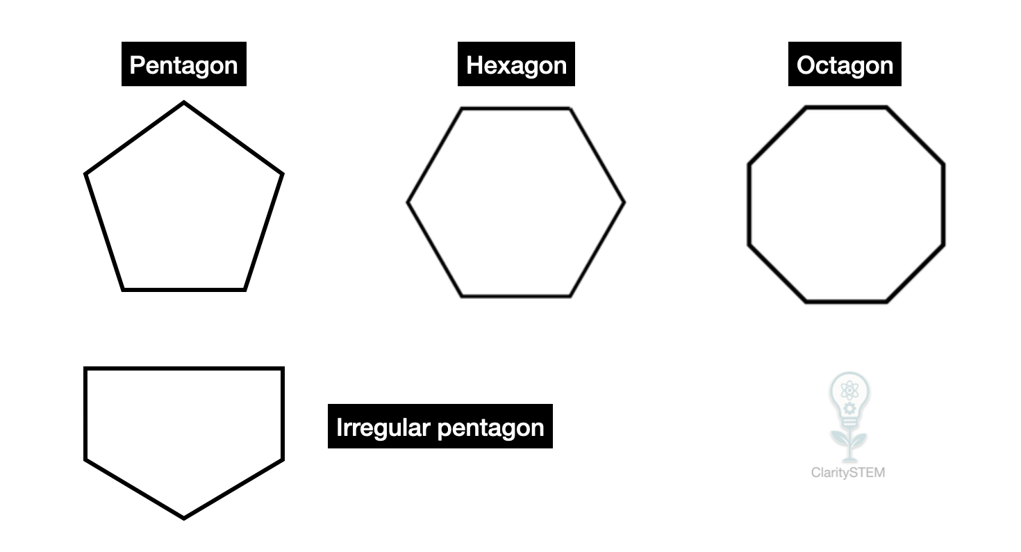 Polygon examples